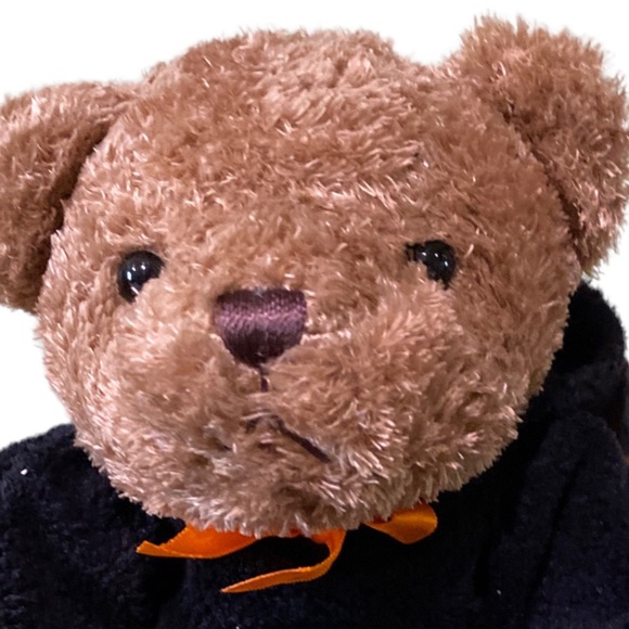 Bears In Disguise Bundle (Video Attached) - Picture 13 of 17